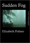 Sudden Fog by Elizabeth Poliner