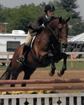 Allison Thayer, Small Talk, Roanoke Valley Horse Show, 2004