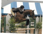 Allison Thayer '04, Small Talk, Roanoke Horse Show