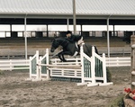 Kelley Douglas '94, Quiet Hour, Virginia Horse Center