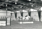 Unknown Horse and Rider, Spring Show 1985