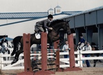 Hillary Schrieber '00, TKO, Virginia Horse Center