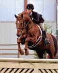 Abby Gonzalez '10, Safe Harbor, Hollins Horse Show