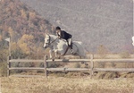 Unknown Rider, Winter Wind, Late 70s, Hollins Hunter Trails