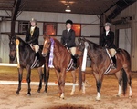 2008 Southwest Virginia Adult Medals Final Virginia Horse Center