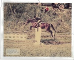 Linda Farmer '82, Pretender, 1979 Rockbridge Horse Show