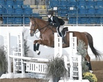 Caitlyn Sheffer, VDL Couleurs Boy, 2018 Virginia Horse Center