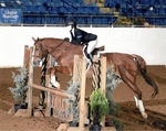 Heavon Allen '18, VDL Couleurs Boy, Virginia Horse Center,