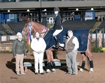 Caitlyn Sheffer, VDL Couleurs Boy, 2018 Virginia Horse Center, Liz Courter Sherri West Elise Roschen