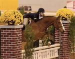 Lizzie Ranzo '16, Tinker Mountain, Virginia Horse Center