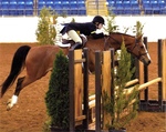 Lizzie Ranzo '16, Tinker Mountain, Virginia Horse Center, Photo 2