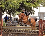 Emma Lane Poole '13, Tinker Mountain, Warrenton Horse Show