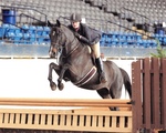 Brynn Hoffman '09, Glen Heirloom, Virginia Horse Center