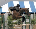 Alison Thayer '04, Small Talk, Roanoke Valley Horse Show