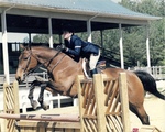 Kim Halsac '99, Dot Com, Virginia Horse Center