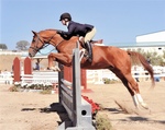 Sarah Jarosinski, Tres Coronas, Virginia Horse Center