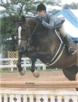 Elizabeth Schlaeppi '05, Somekindawonderfull, Roanoke Horse Show