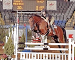 Meredith Mcdonnel '12 on Medici, Virginia Horse Center, Lexington