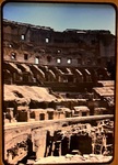 Colosseum, Rome 1 by Patricia Karrick